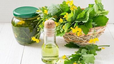 Celandine decoction to treat nail mushrooms