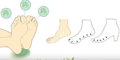 Prevents the appearance of fungus on the toes
